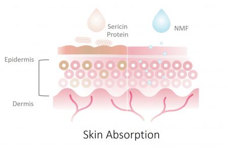 Sợi protein tơ tằm giàu sericin và nhiều loại axit amin tự nhiên. Nó mềm mại, chống dị ứng và có tính chất thân thiện với da cao. Kết cấu dệt chéo độc đáo có thể giữ lại hầu hết các phân tử nước và kéo dài từ 30 đến 40 phút. Làm da căng mịn và dưỡng ẩm trong khi tạo cảm giác săn chắc theo thời gian.
